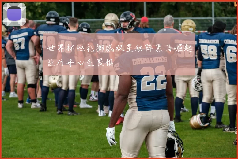 世界杯巡礼挪威双星助阵黑马崛起让对手心生畏惧