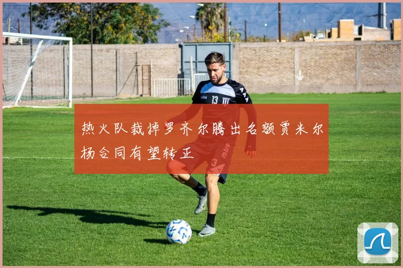 热火队裁掉罗齐尔腾出名额贾米尔杨合同有望转正